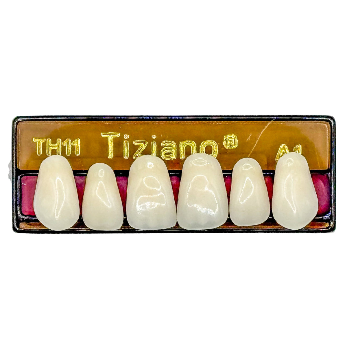 Dientes tiziano x 6 sa TH11 col A1