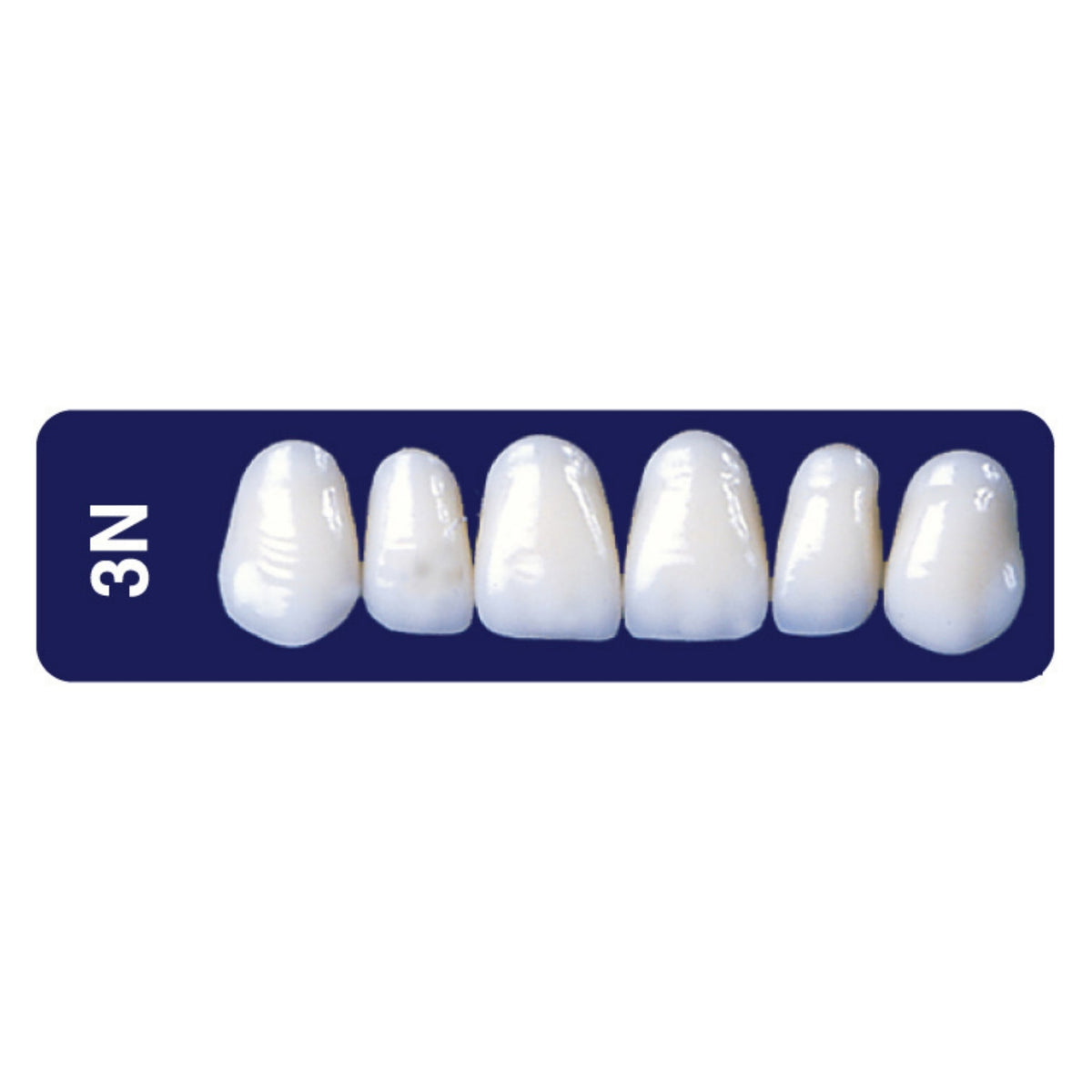 Diente new tek anterior superior — 150-3N-A1S