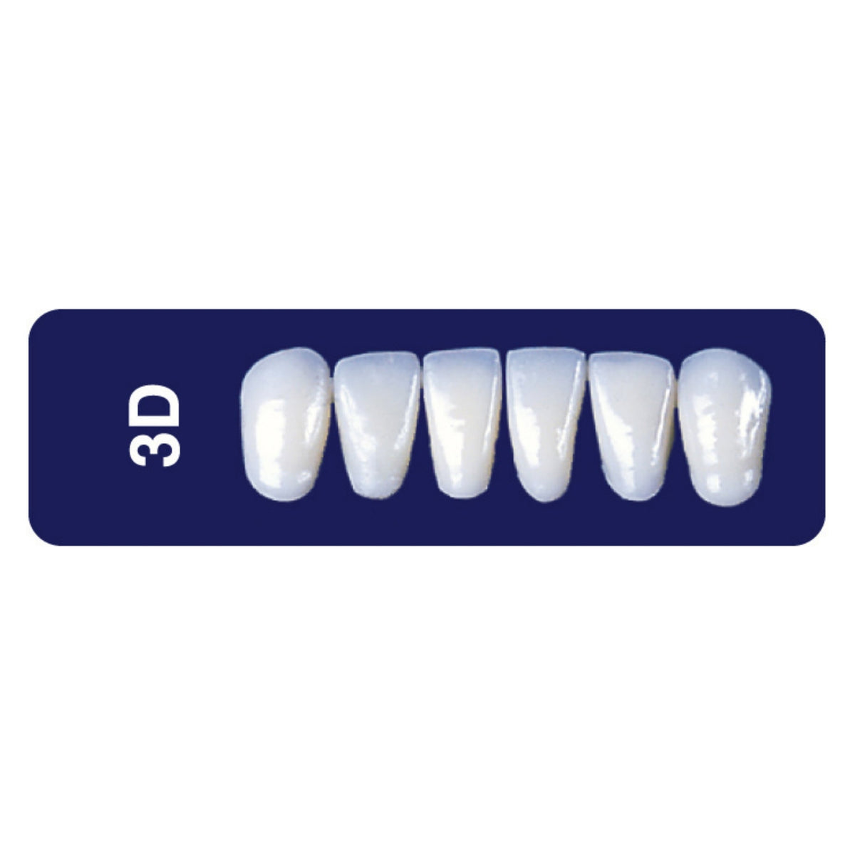 Diente new tek anterior inferior — 150-3D-A1I