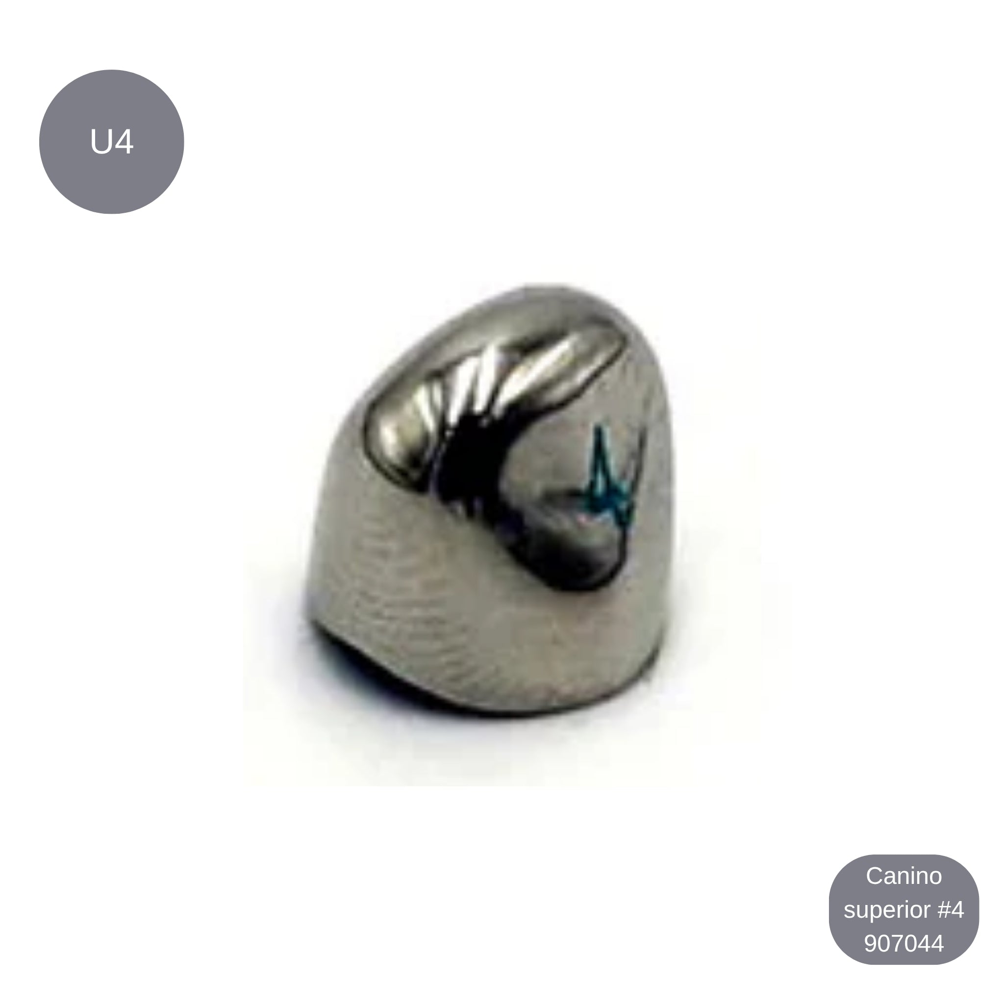 Corona de acero 3M infantiles