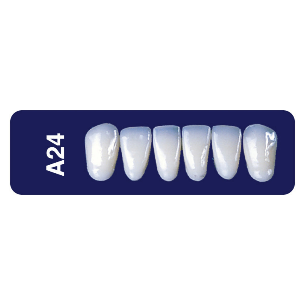 Diente new tek anterior inferior — 150-A24-B2I