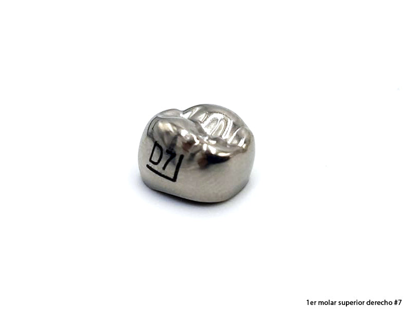 Corona de acero 3M posteriores