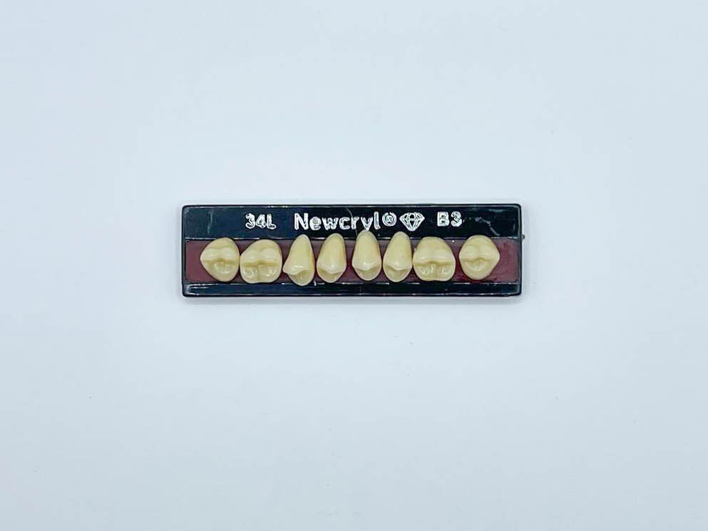 Dientes newcryl x 8 sp 34l col b3