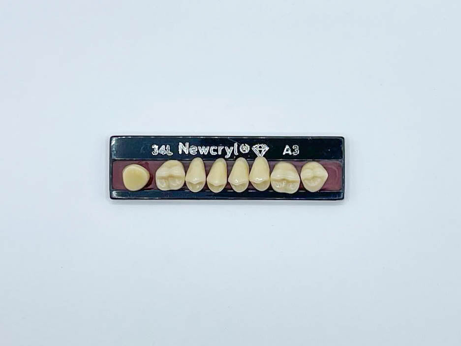 Dientes newcryl superior posterior