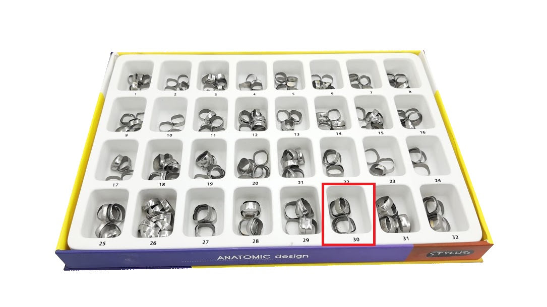 Banda anatómica 1 molar lr30