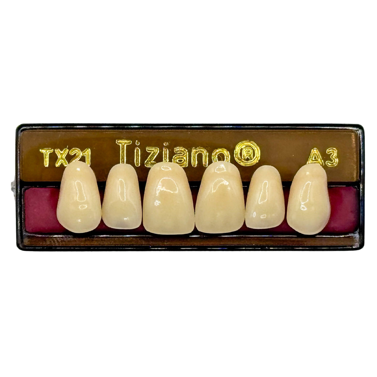 Dientes tiziano x 6 sa TX21 col A3