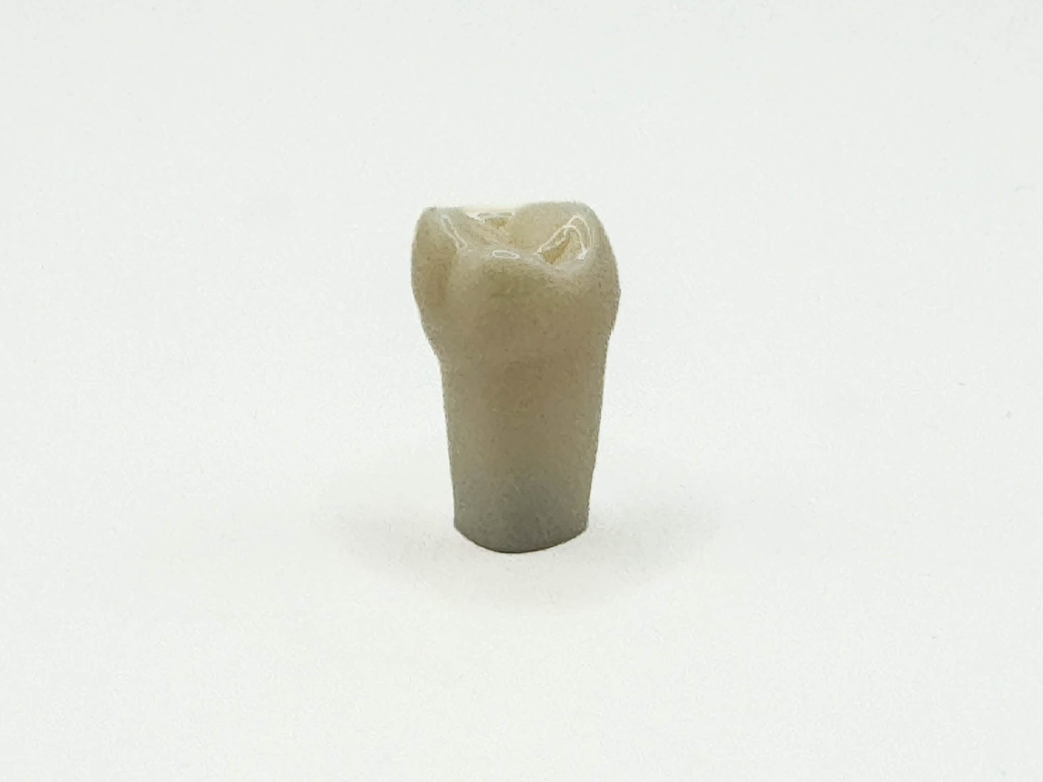 Diente permanente nissin #18 pza.