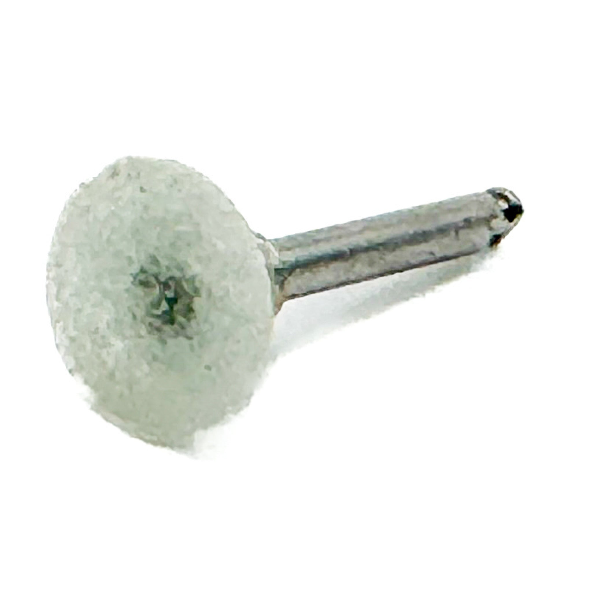 Pulidor p/bracket en disco c/1