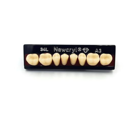 Dientes newcryl inferior posterior