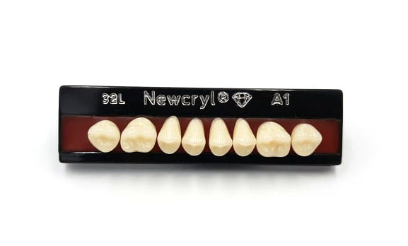 Dientes newcryl superior posterior