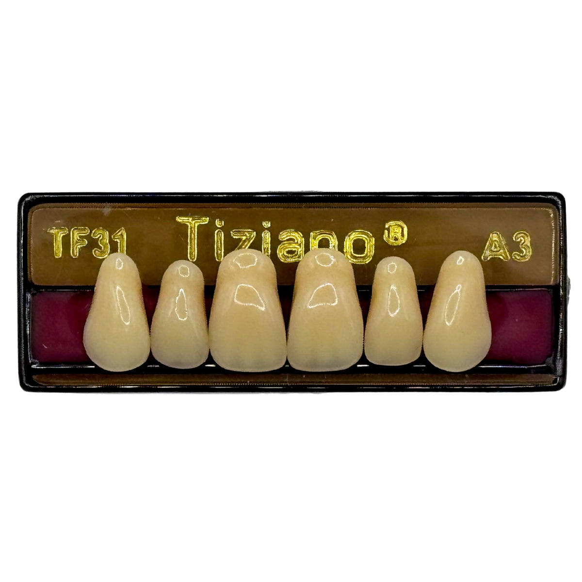 Dientes tiziano x 6 sa TF31 col A3