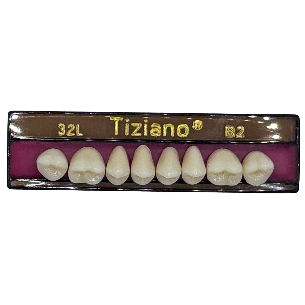 Dientes Tiziano superior posterior