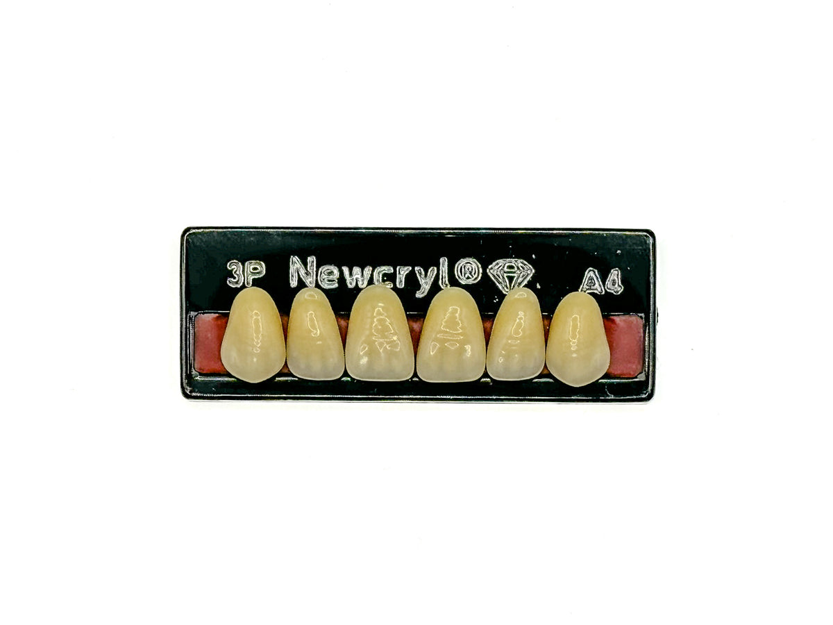Dientes newcryl superior anterior moldes grandes