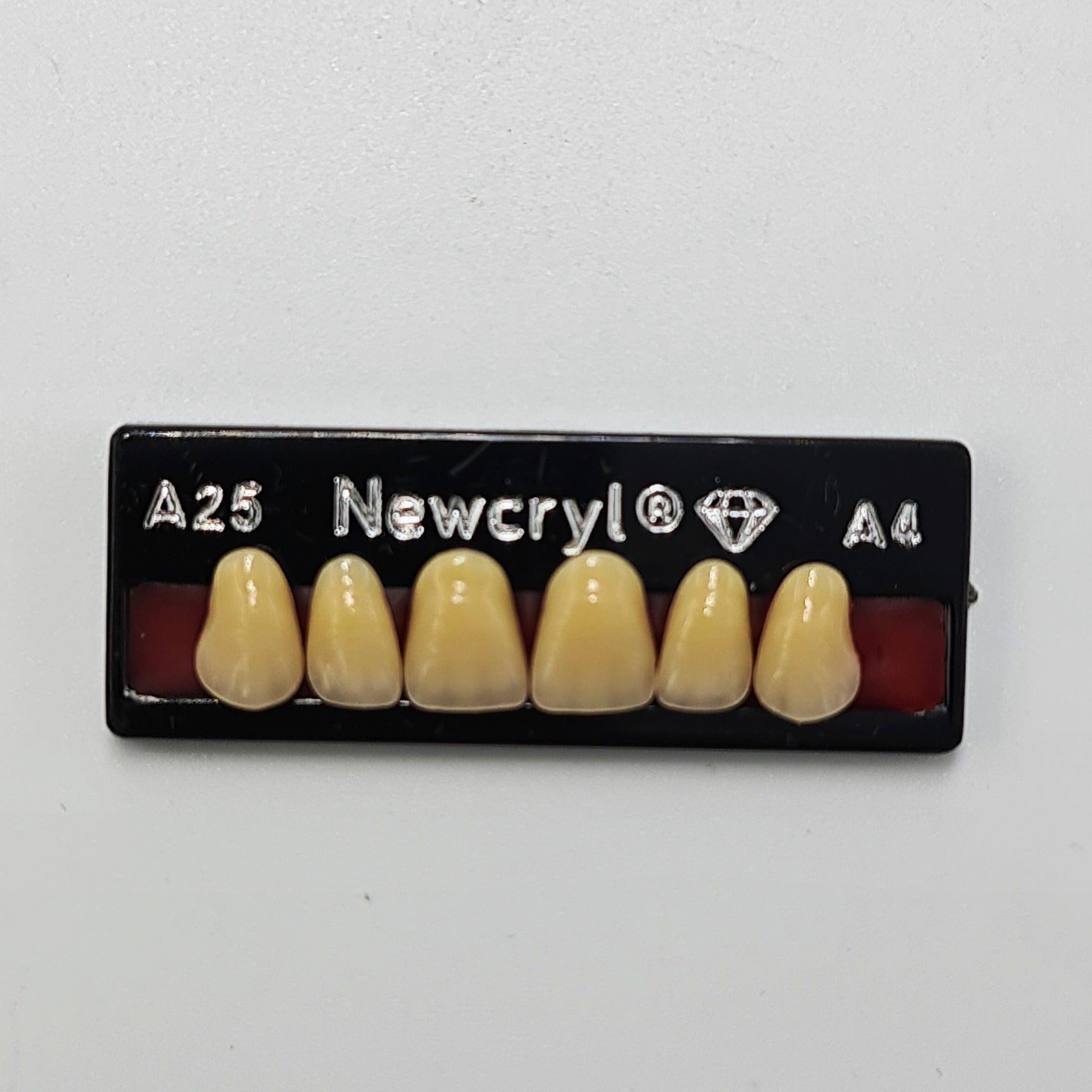 Dientes newcryl superior anterior