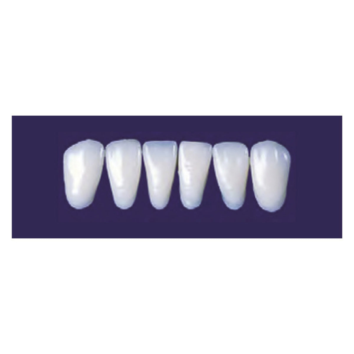 Diente new tek anterior inferior — 150-3P-A3I