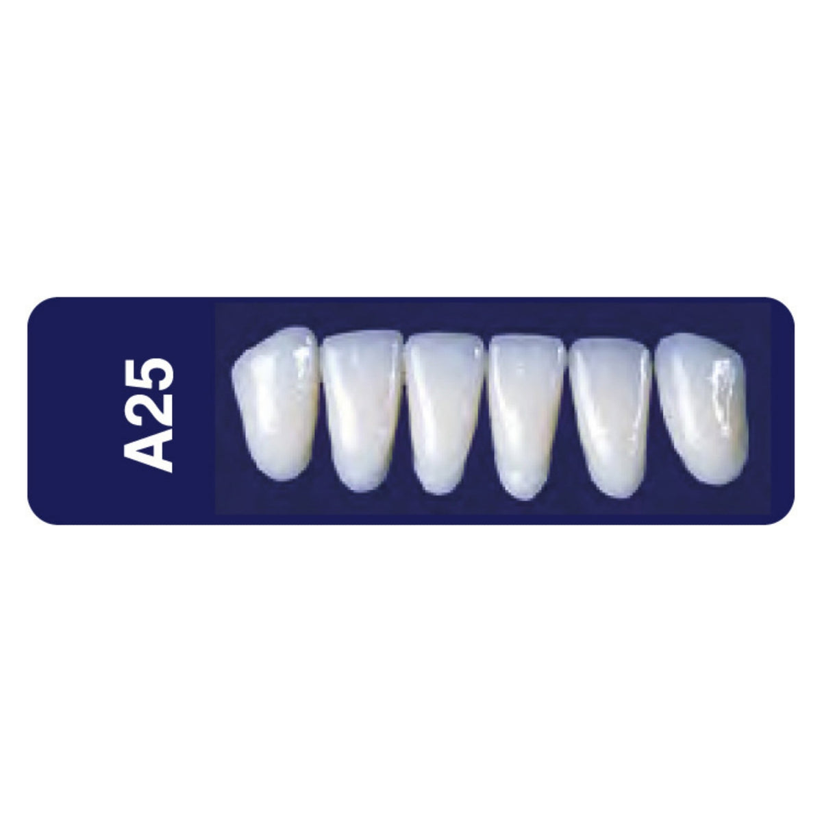 Diente new tek anterior inferior — 150-A25-65I