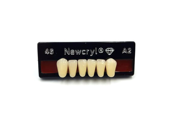 Dientes newcryl inferior anterior
