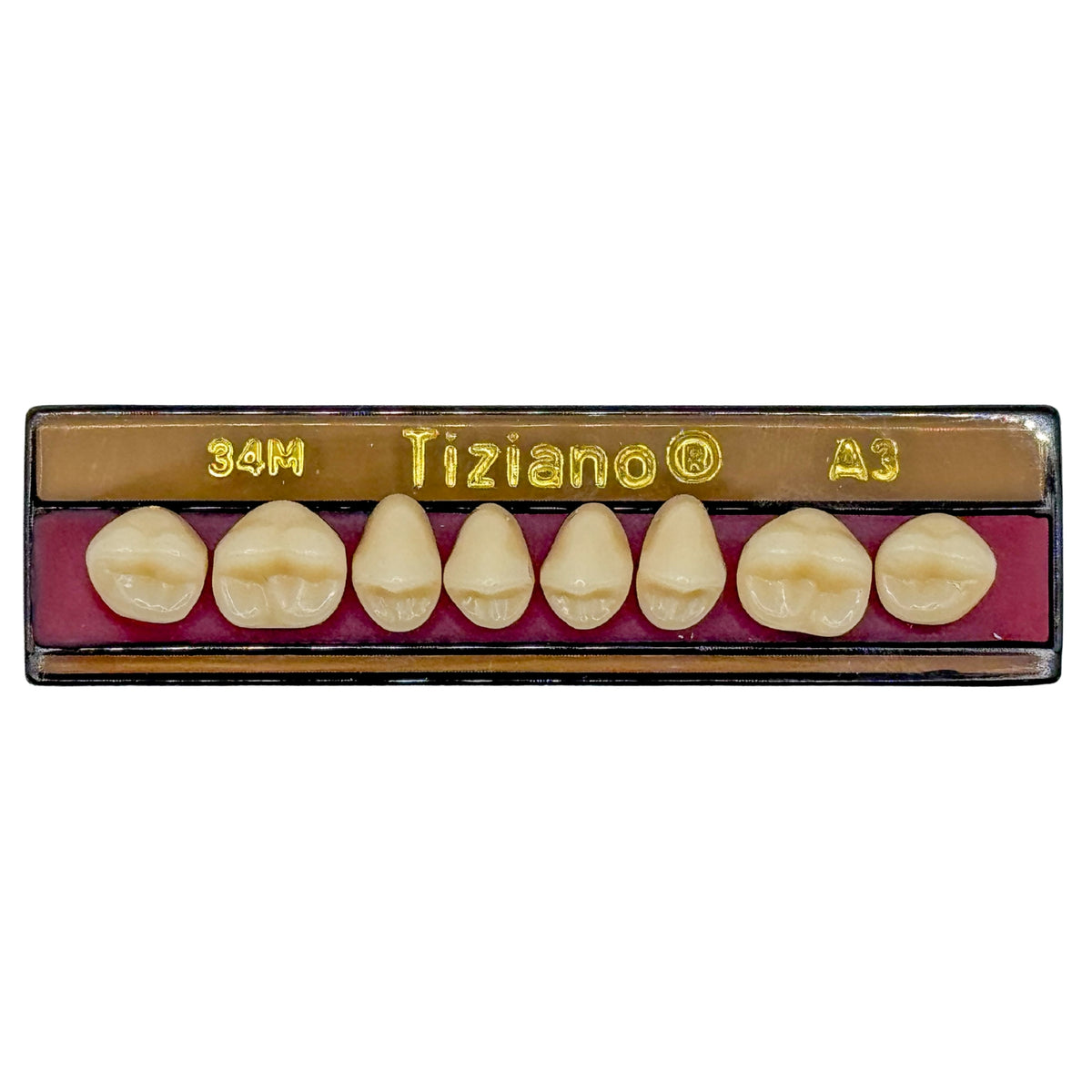 Dientes tiziano x 8 sp 34M col A3