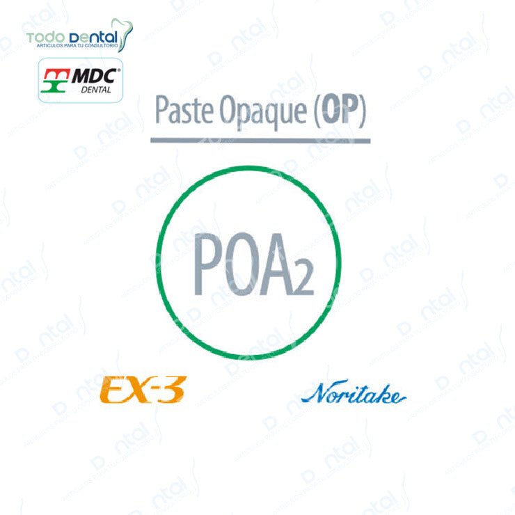 Ex-3 Noritake(Paste opaque, margin)