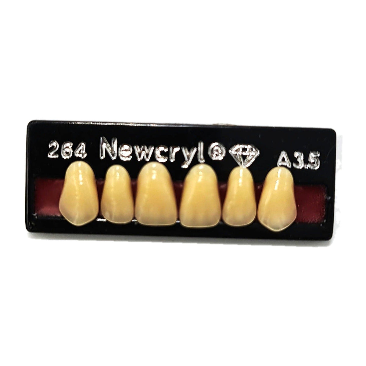 Dientes newcryl superior anterior moldes grandes