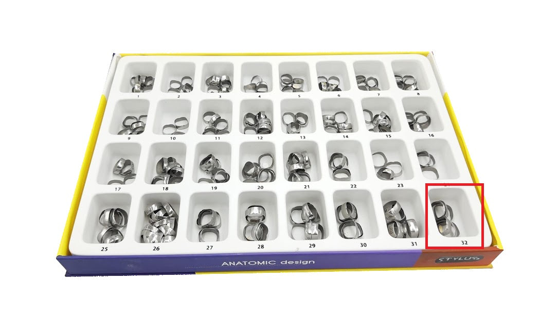 Banda anatómica 1 molar lr32