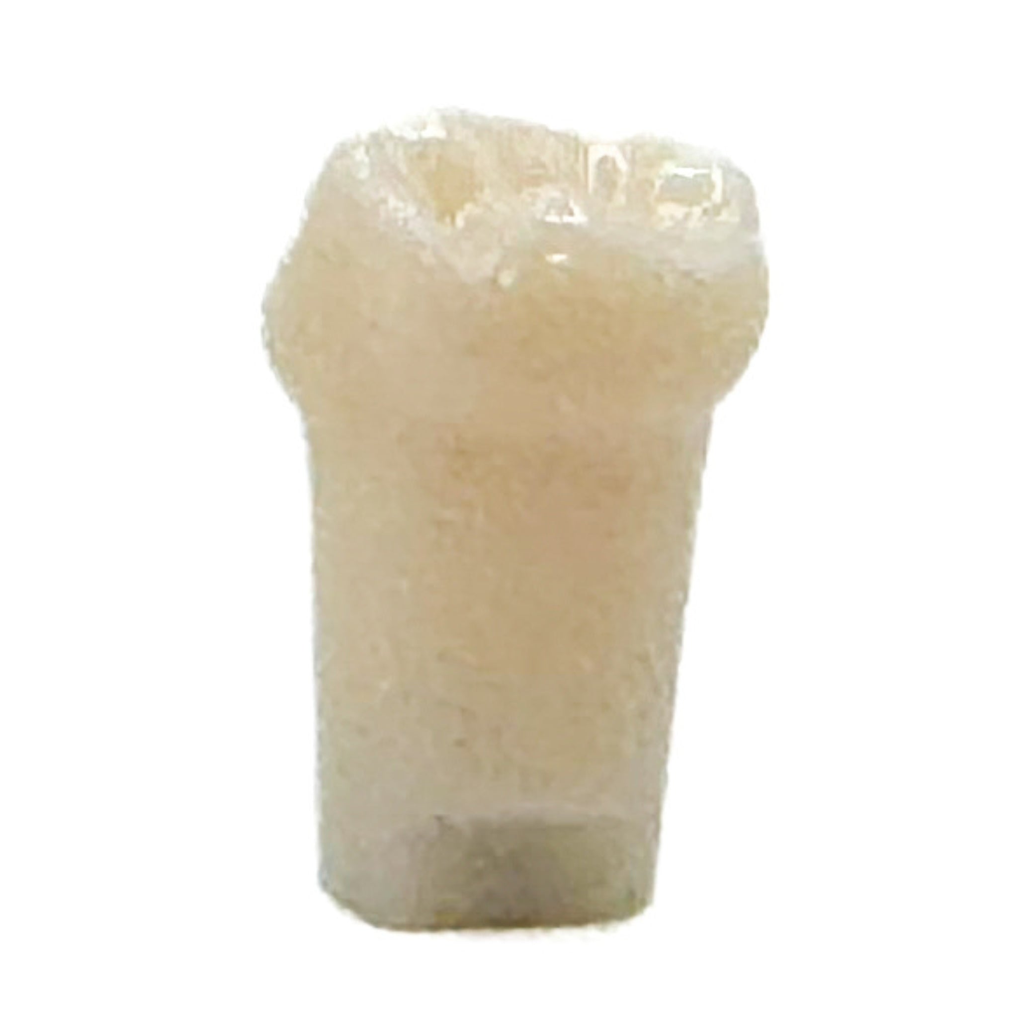 Diente infantil nissin #84 pza.