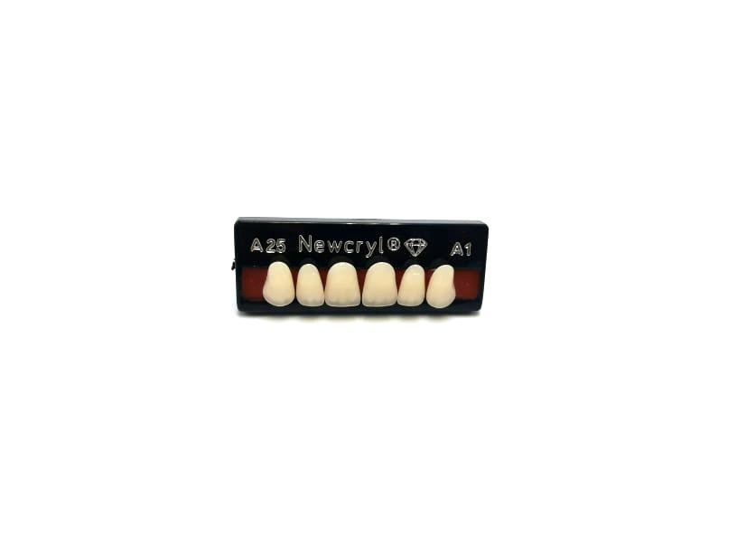 Dientes newcryl superior anterior moldes grandes