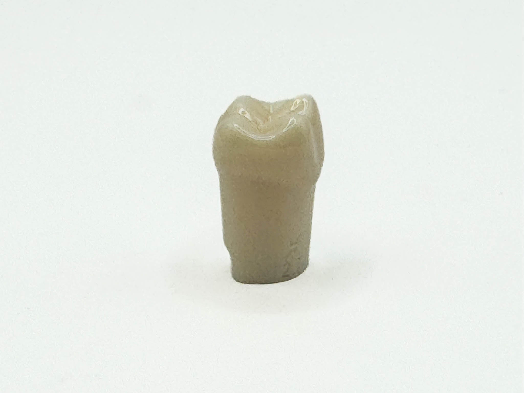 Diente permanente nissin #27 pza.