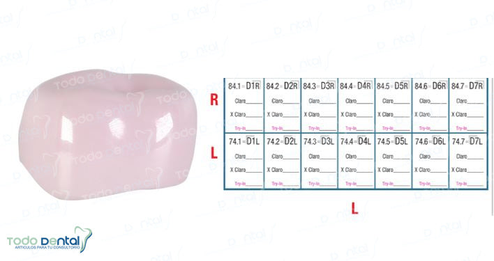Corona de prueba nusmile 1er molar y 2do molar