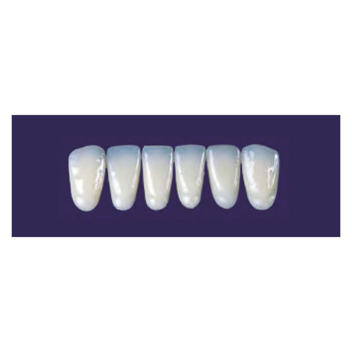 Diente new tek anterior inferior — 150-136-65I