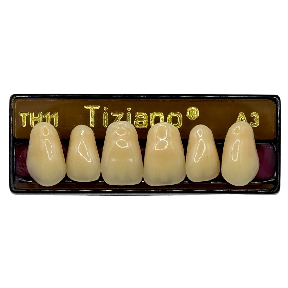 Dientes tiziano x 6 sa TH11 col A3