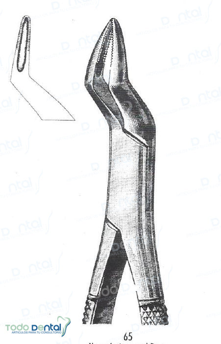 Forcep # 65 anatomico arain