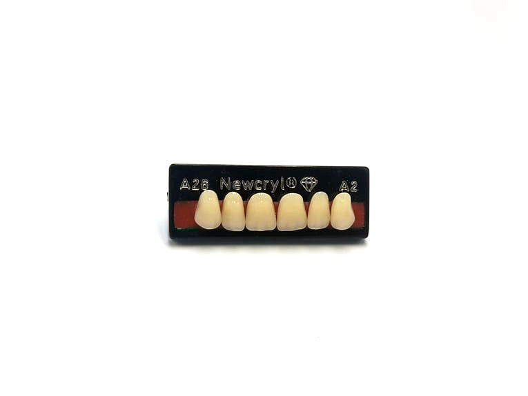 Dientes newcryl superior anterior