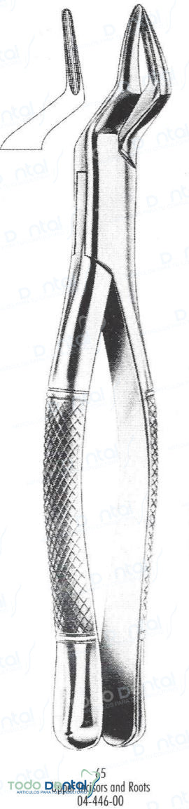 Forcep #65 anteriores - sup arain