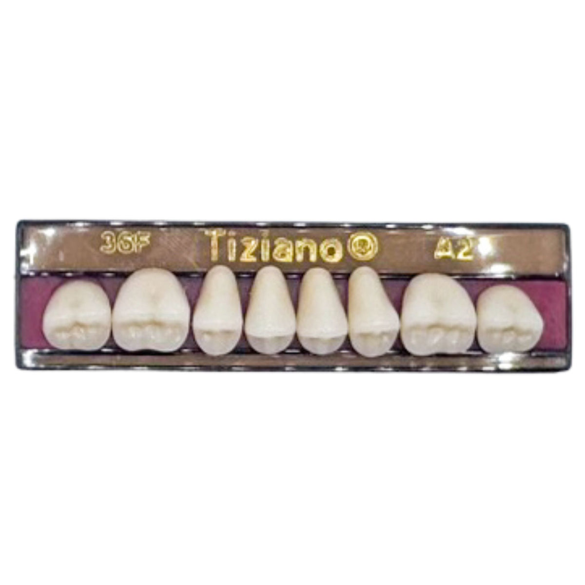 Dientes tiziano x 8 sp 36F col A2