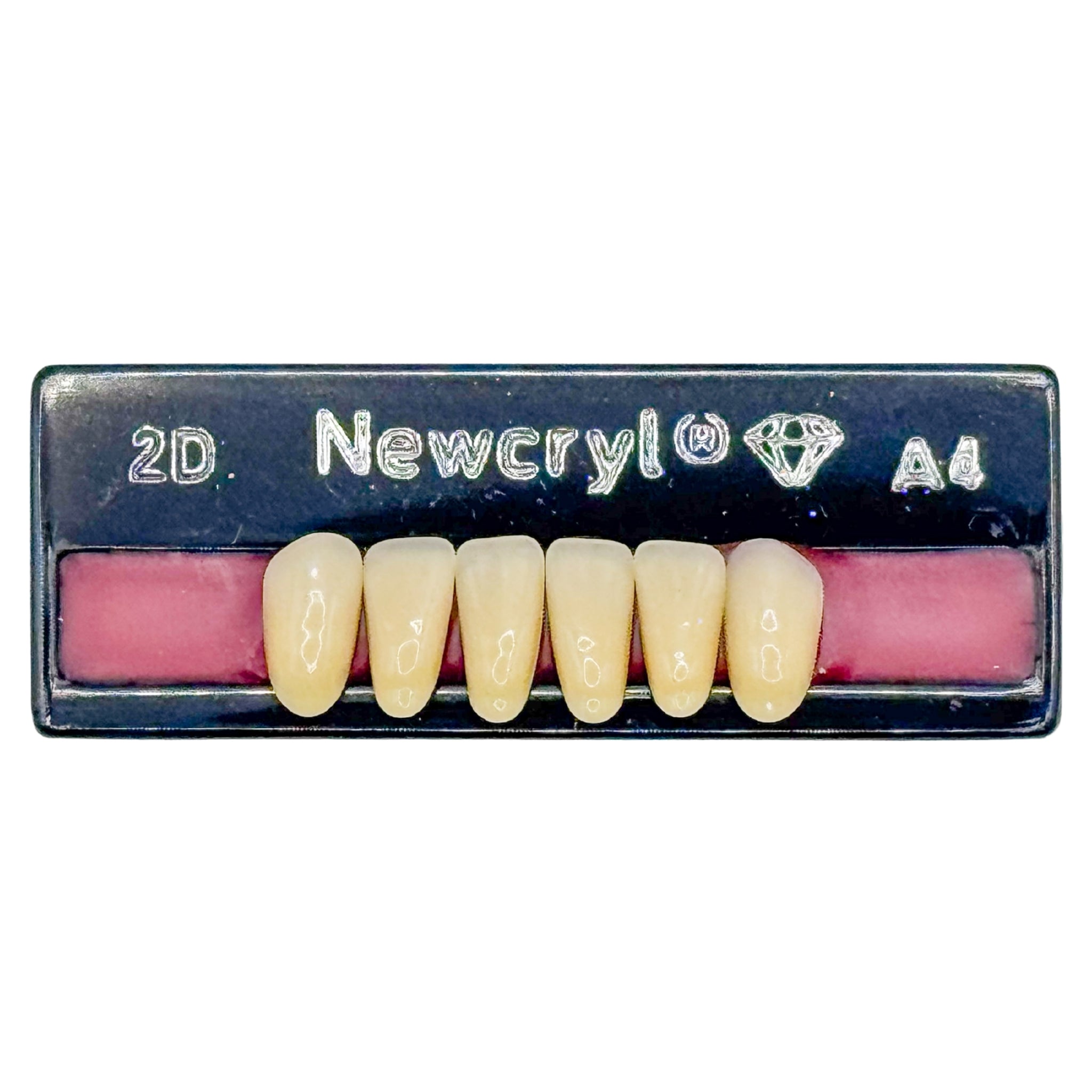 Dientes newcryl x 6 ia 2d col a4
