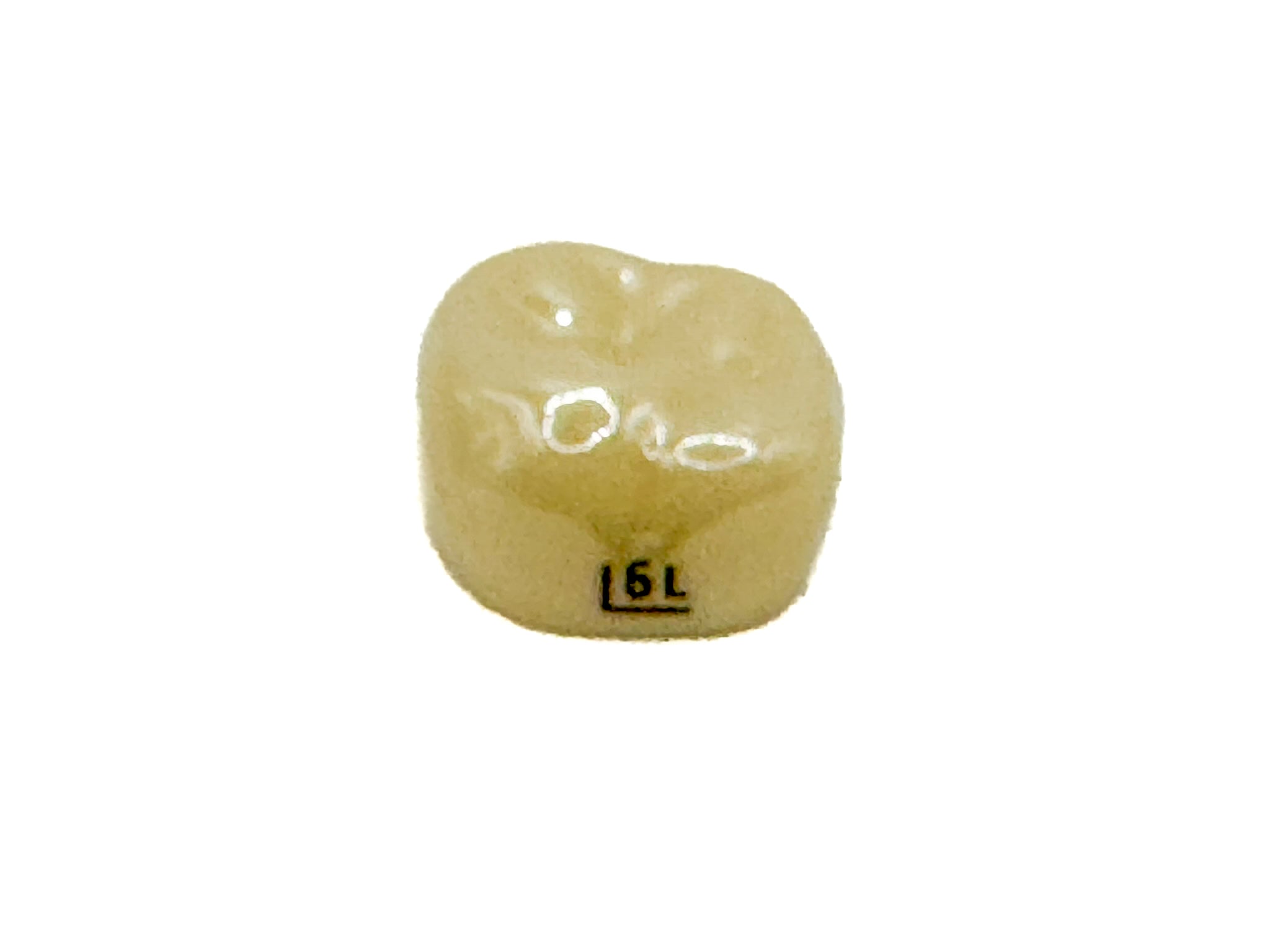 1er molar permanente, superior izquierdo # 6, color a2