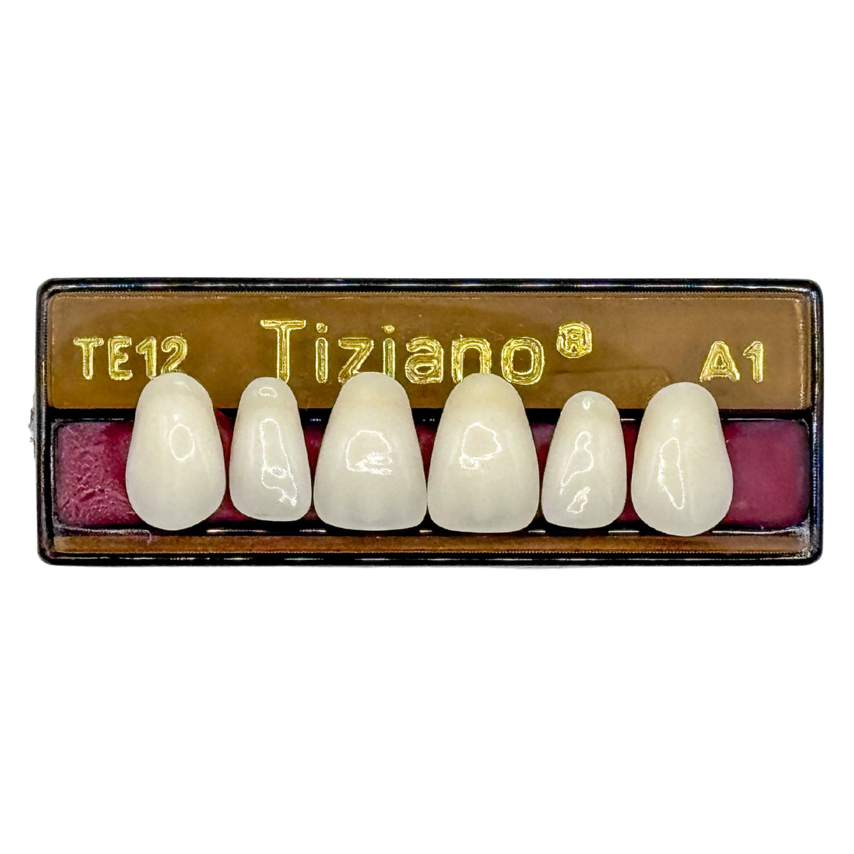 Dientes tiziano x 6 sa TE12 col A1