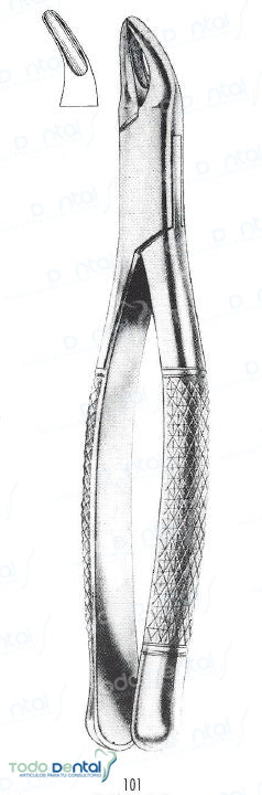 Forcep #101 premolar -sup arain