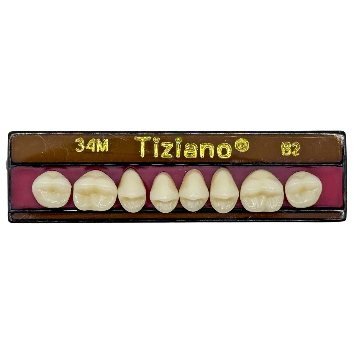 Dientes tiziano x 8 sp 34M col B2
