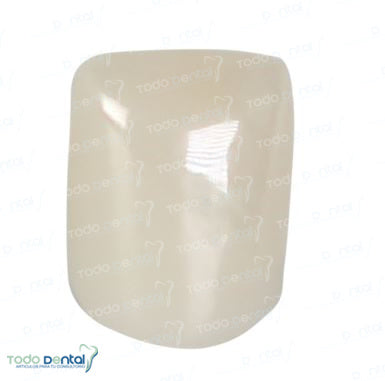 Corona zirconia nusmile incisivo