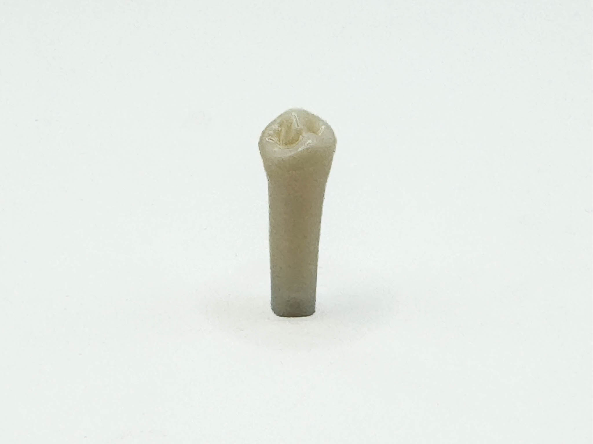 Diente permanente nissin #34 pza.