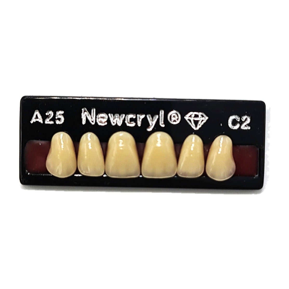 Dientes newcryl superior anterior moldes grandes