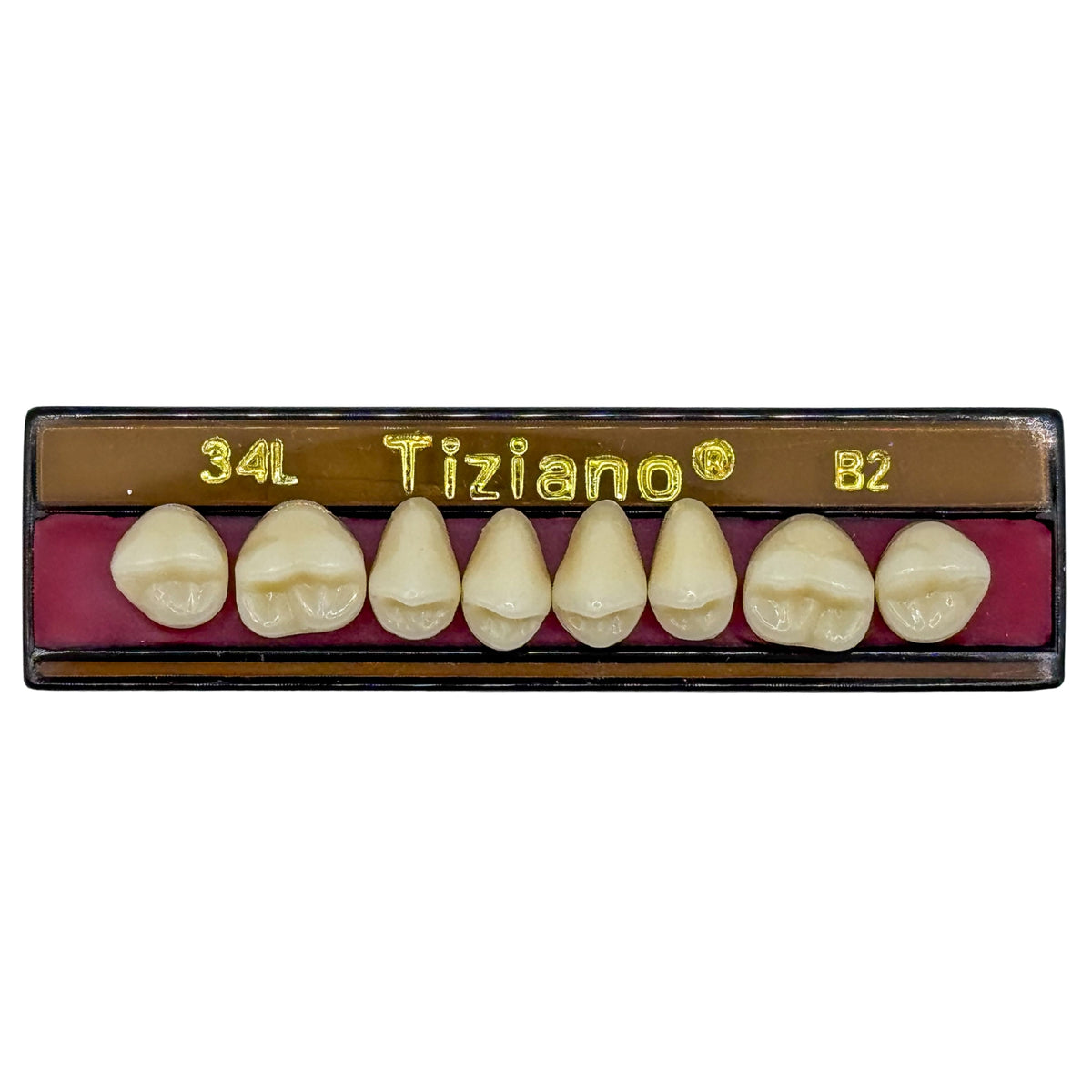 Dientes tiziano x 8 sp 34L col B2