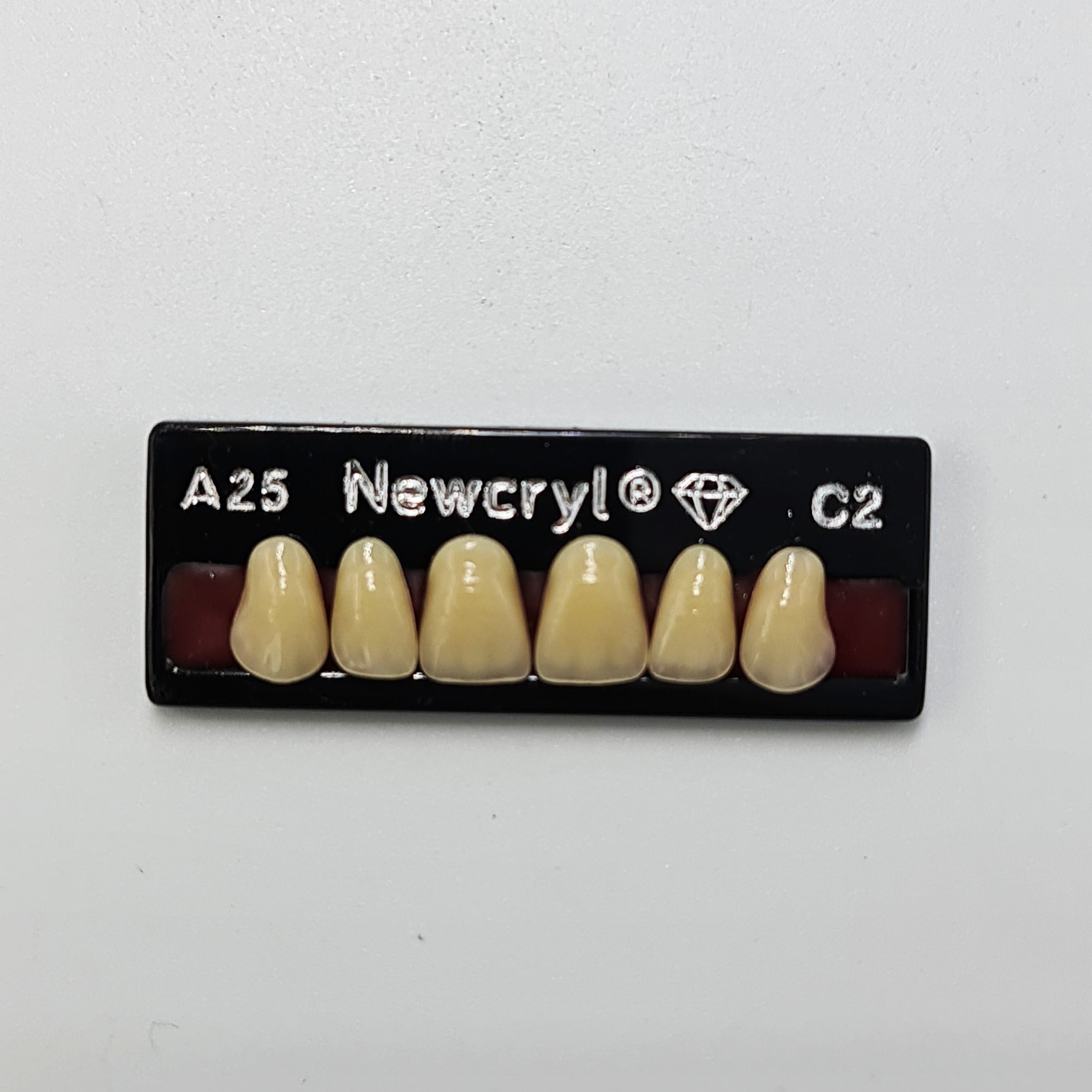 Dientes newcryl superior anterior