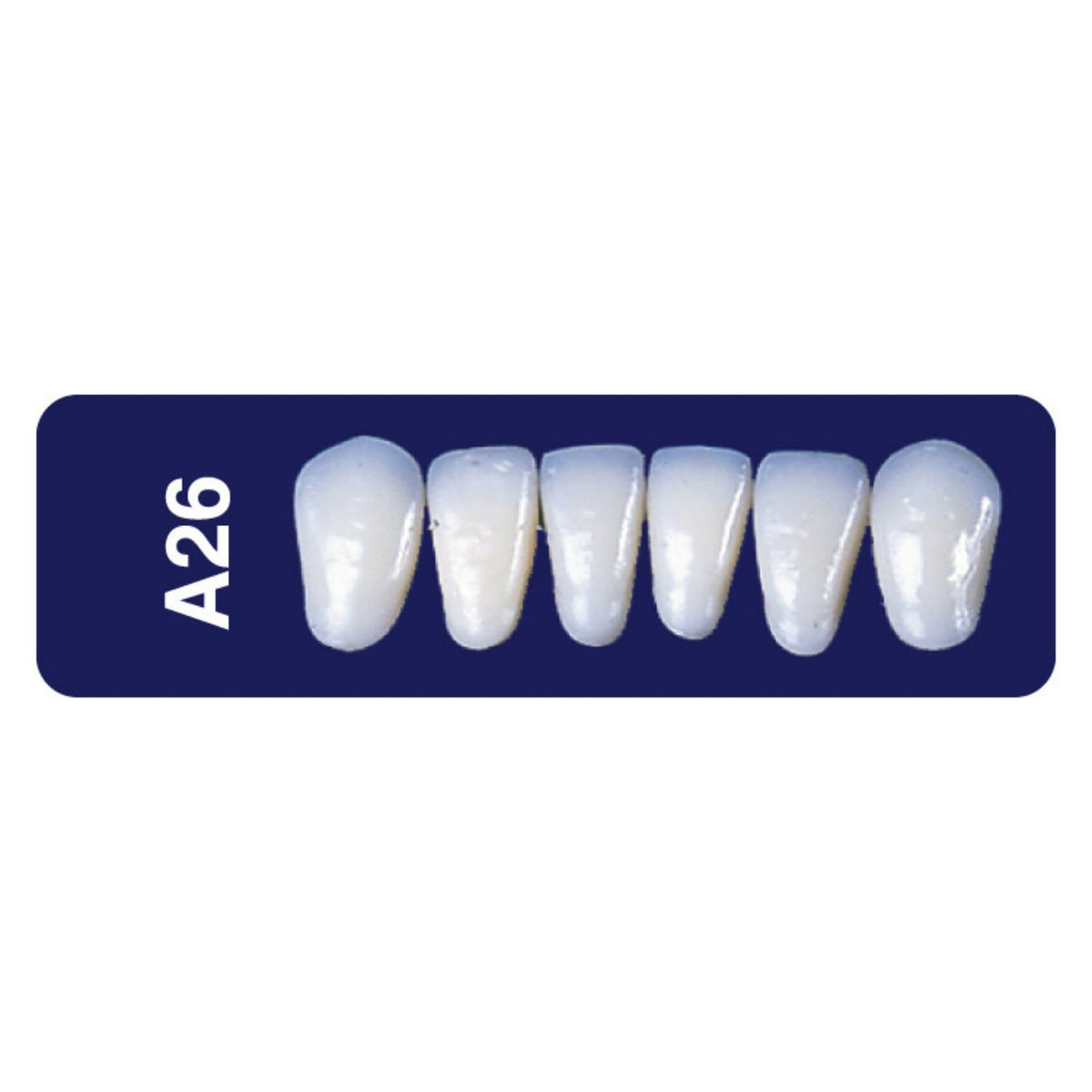 Diente new tek anterior inferior — 150-A26-62I
