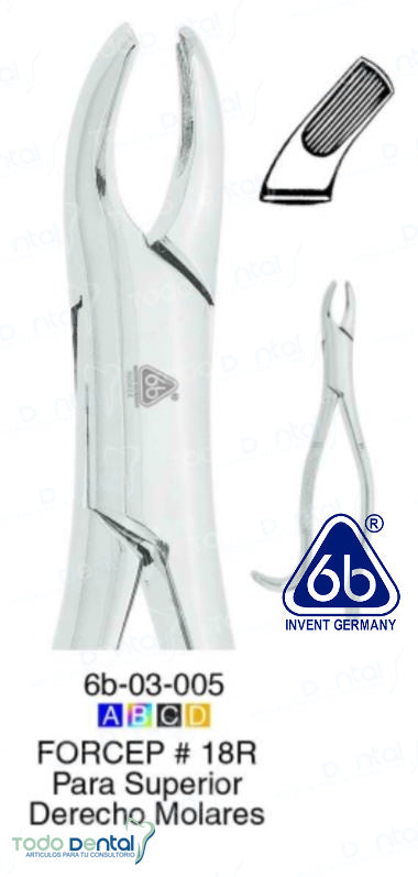 Forcep adulto 18r