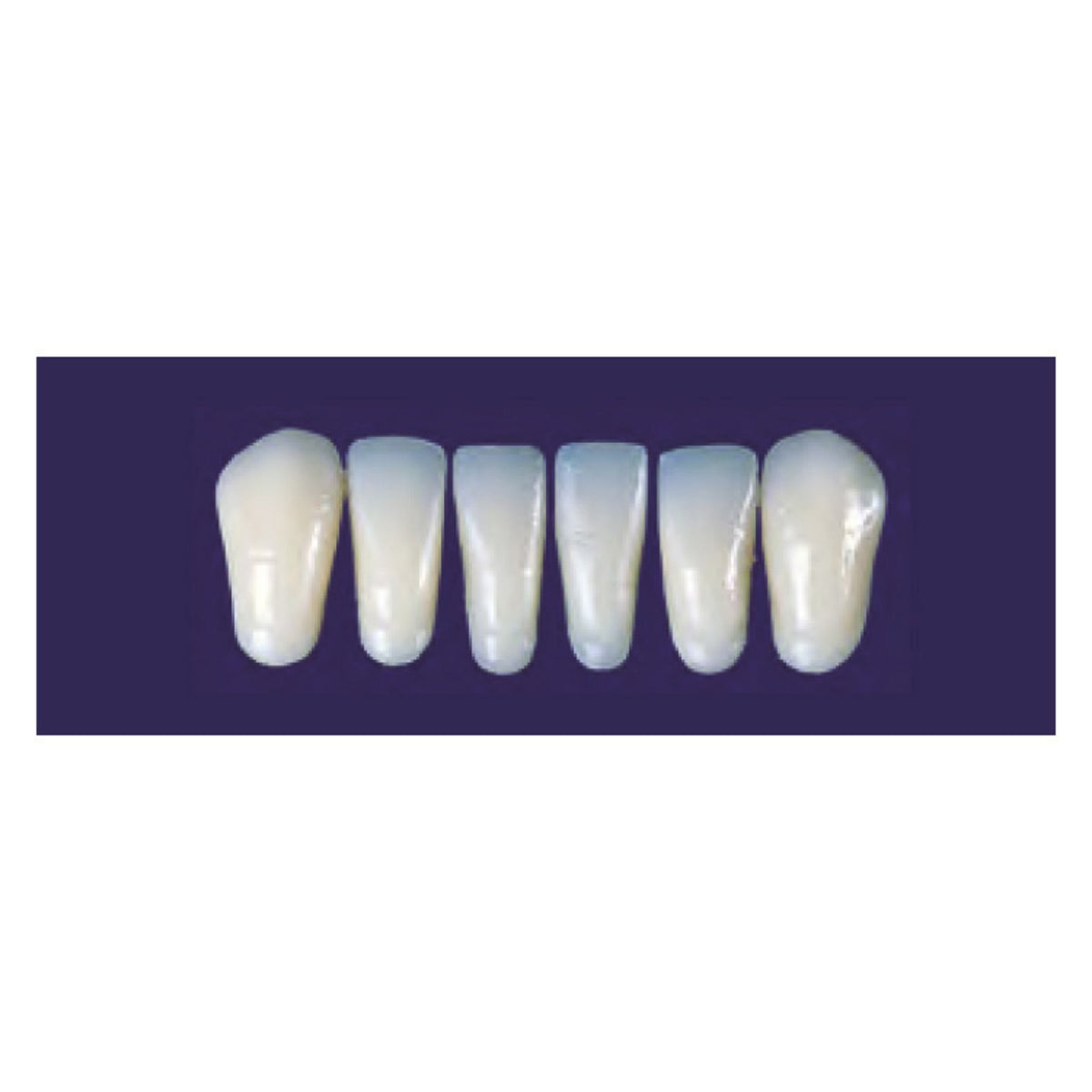 Diente new tek anterior inferior — 150-267-65I