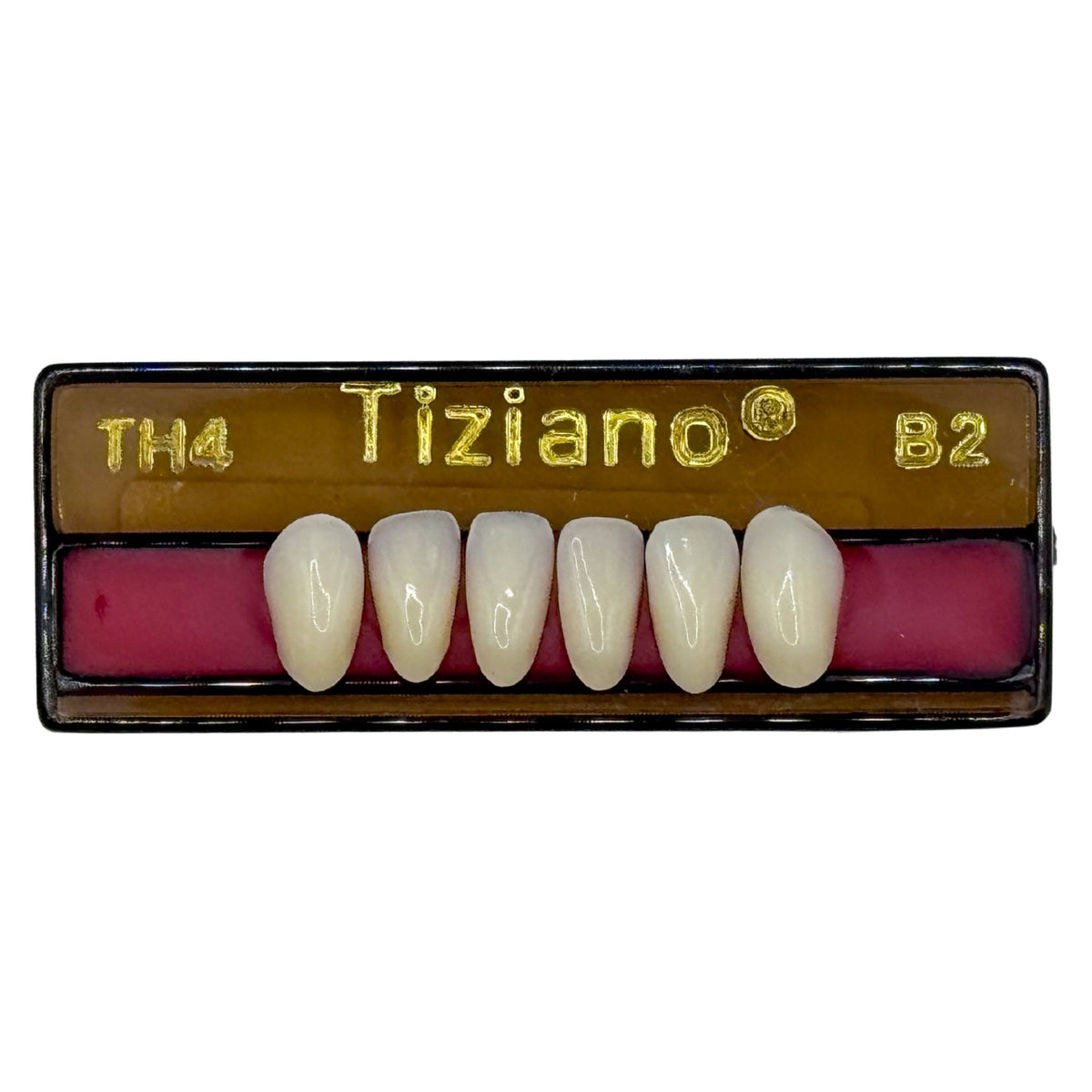 Dientes Tiziano inferior anterior