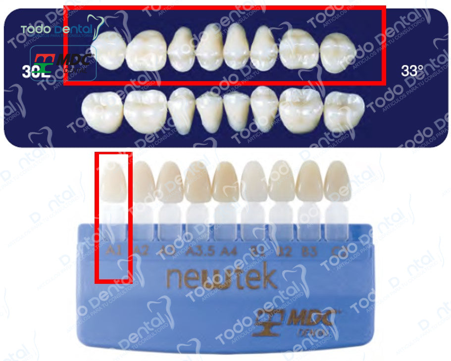 Diente new tek posterior superior